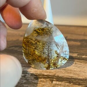 Large dendritic and golden healer cab